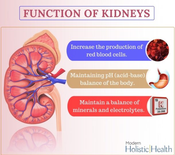 Chronic Kidney Disease – A Warning Sign for Millions